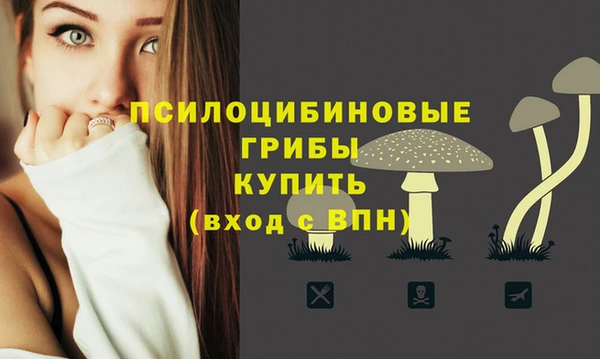 прущие крисы Корсаков